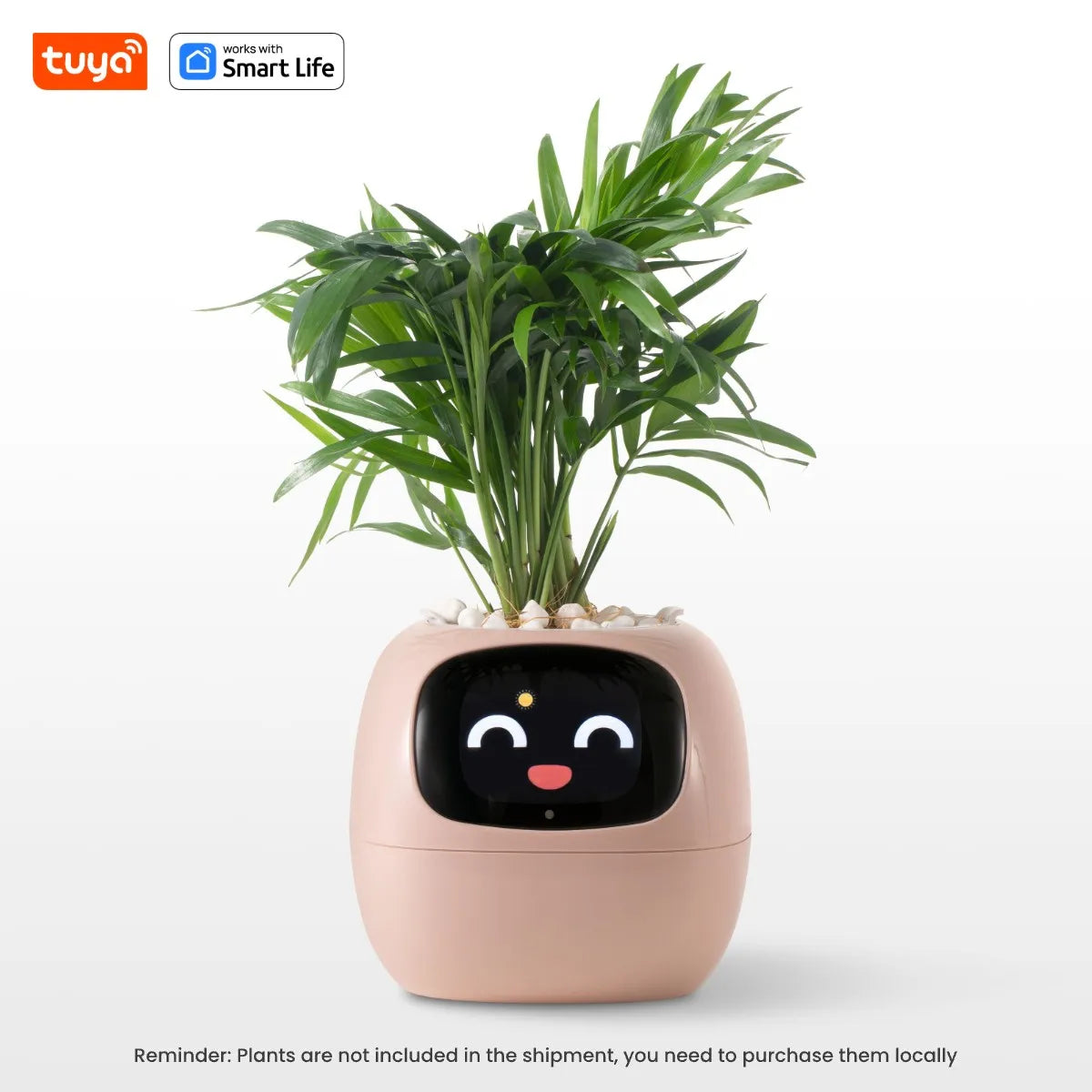 Smart Robot Planter - DeeNoy