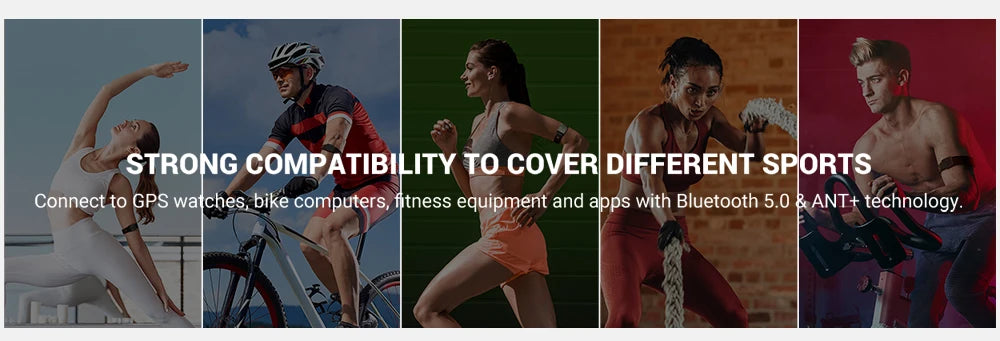 Heart Rate Armband - DeeNoy