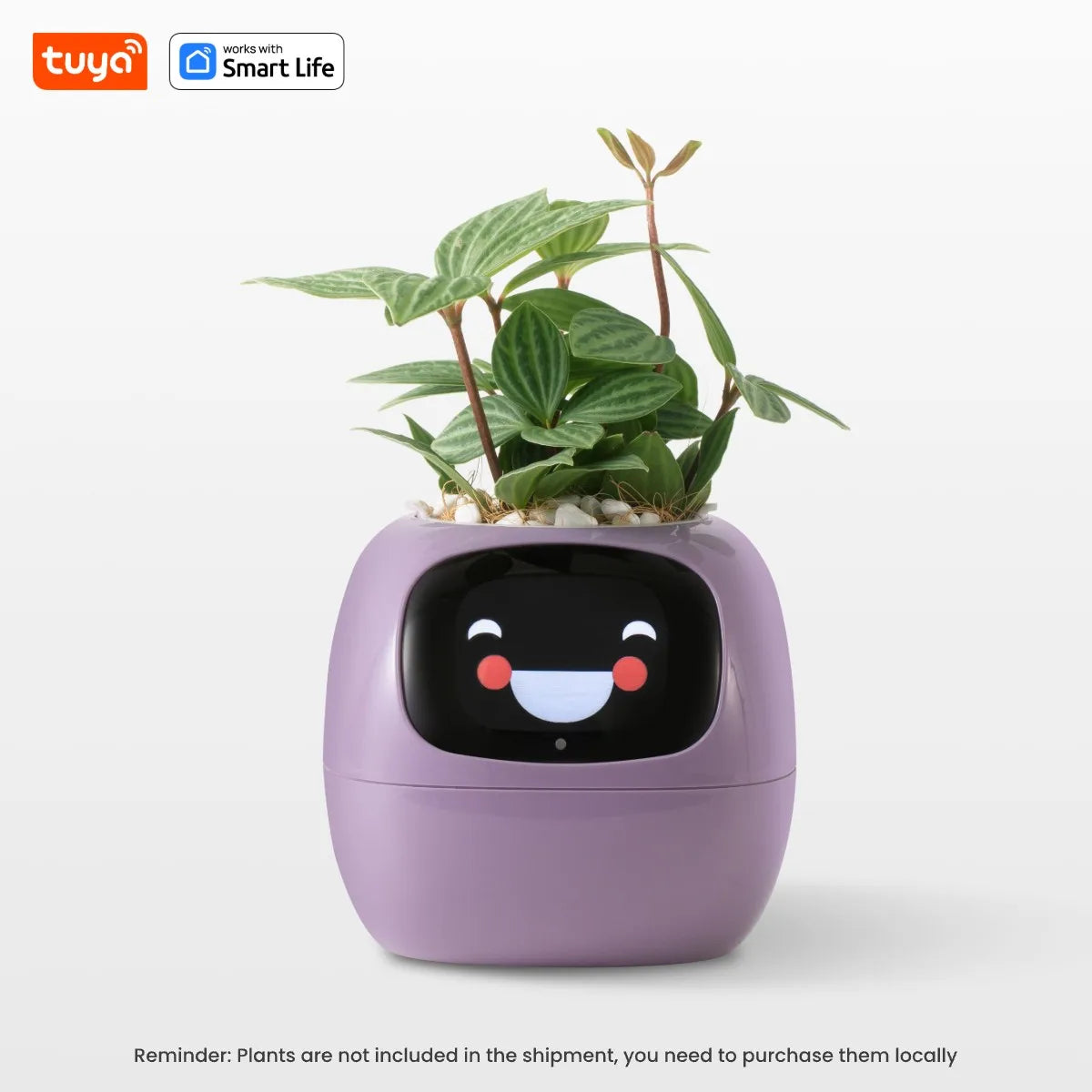 Smart Robot Planter - DeeNoy