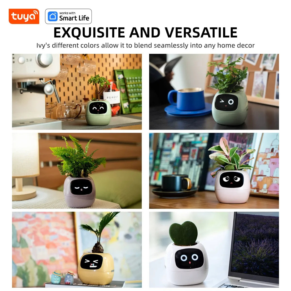 Smart Robot Planter - DeeNoy