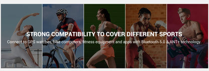 Heart Rate Armband - DeeNoy