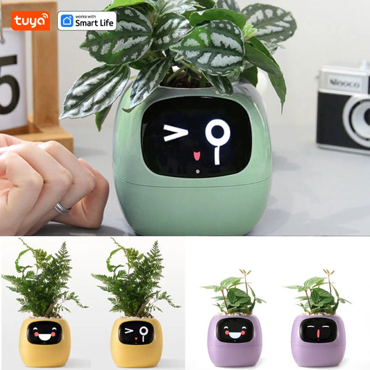 Smart Robot Planter - DeeNoy